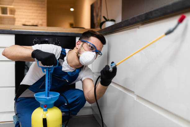 Best Emergency Pest Control  in Wesley Chapel, FL