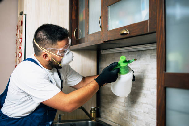 Best Best Pest Control Companies  in Wesley Chapel, FL