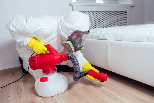 Reliable Wesley Chapel, FL Pest Control Solutions