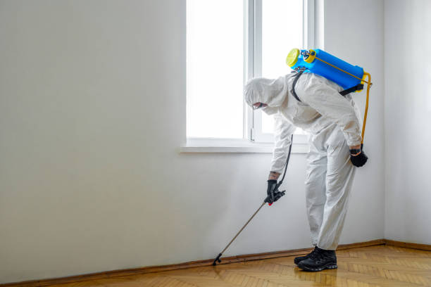 Best Ant Control Services  in Wesley Chapel, FL