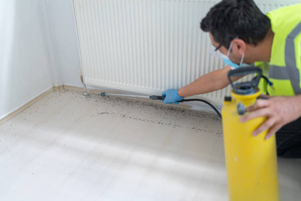 Best Cockroach Control Services  in Wesley Chapel, FL